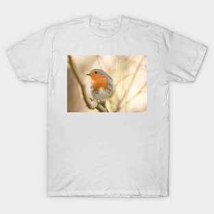 Wistful robin T-Shirt